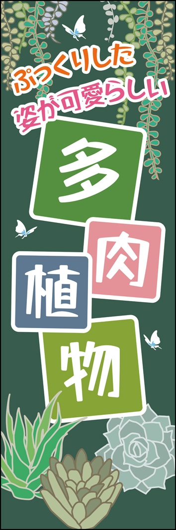 多肉植物 325_01 「多肉植物」のぼりです。ぷっくりと可愛い魅力的な多肉植物を背景に入れました、シックなイメージで不思議な奥深い多肉植物の世界を表現しています。（M.H)