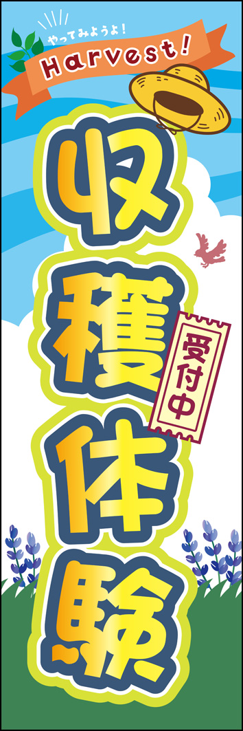 収穫体験 346_01 「収穫体験」のぼりです。初めての収穫体験は、わくわくする冒険へのワンシーン！明るく元気なイメージを表現しました。（MH）